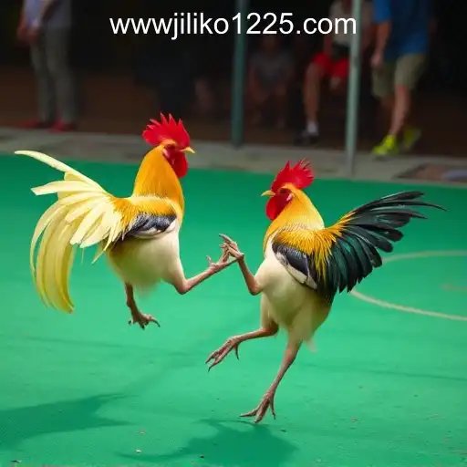 The Rise of Online Sabong in the Philippines